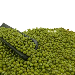 ムーンダル小型2.6mm-3.5mm発芽用緑豆