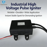 Allumeur à impulsions électriques 18-24V, transformateur haute tension 20KV 36W pour chauffage de voiture, brûleur, four