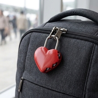 YH10005 serrure d'amour en forme de cœur 3 cadenas à combinaison numérique mot de passe réinitialisable pour sacs de voyage
