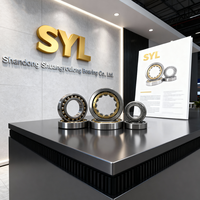 Roulement à rouleaux cylindriques de qualité supérieure de la marque SYL Nu203ecp Nu218 Nu216 Nu210 Nu319 Nu315 Nu314 Nu2332 pour équipements industriels