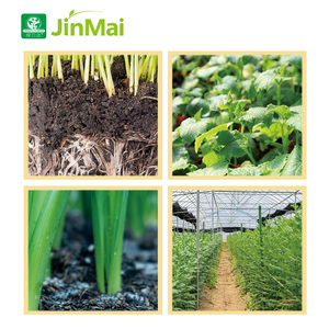 Extrait d'algues marines agricoles d'origine usine, biostimulant, engrais organique soluble dans l'eau pour la résistance aux maladies des plantes - Product Image 5