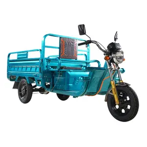 Low cost heavy-duty electric tricycle with a speed of 55km/h electric motorcycle tricycle