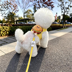 <b>Dog</b> <b>leash</b>, anti-escape vest-style <b>dog</b> walking <b>leash</b>, adjustable chest strap, cat/pet vest. - Product Image 3