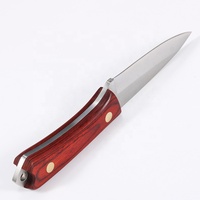 Couteau à éplucher de haute qualité en acier inoxydable à haute teneur en carbone, martelé, 4 pouces, avec manche en bois Pakka, pour usage quotidien et chasse