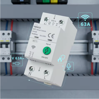 Protecteur intelligent WiFi KINEE VA pour maison connectée, interrupteur intelligent réglable 2P 1-63A, AC 220/110V, protection sur rail DIN avec surveillance de l'énergie