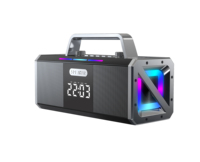 Haut-parleur Karaoké Portable Extérieur Sans Fil 200W à Basses Puissantes de Haute Qualité avec Entrée USB/AUX et Micro Intégré, RGB 5.3, Fabrication OEM