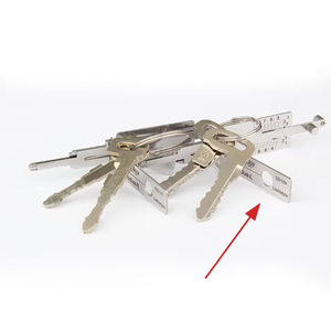 Attrezzo Professionale Lishi 2in1 con Logo EAGLE Argento per Cilindri Serratura Porta Auto Daihatsu, Forniture per Fabbri Professionisti - Product Image 2
