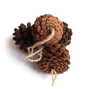 Bán sỉ cây với mini nón thông-Mini Brown Tự Nhiên Khô Thông Cones Đối Với Lễ Tạ Ơn Trang Trí Kỳ Nghỉ
