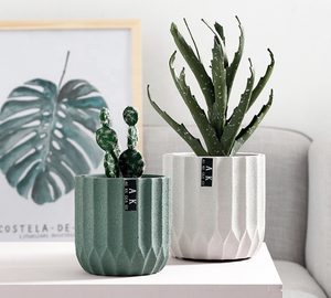 Maceta Moderna Blanca con Rayas de 5 Pulgadas, Maceta de Cerámica con Orificios de Drenaje para Jardín - Product Image 3
