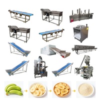 Chaîne de traitement automatique de qualité supérieure en acier inoxydable pour bananes, plantains, fruits, légumes et poudre de farine, capacité de 200 kg/h