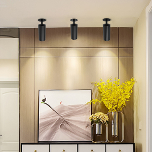 Sản Phẩm Mới Đèn Led Chiếu Điểm 5W Đèn Trần Hiện Đại Bằng Nhôm Nguyên Chất Đèn LED Chiếu Hậu Bề Mặt Có Thể Điều Chỉnh - Product Image 6