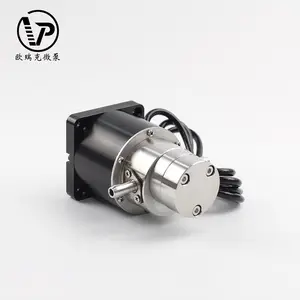 便宜的24v dc电动微型小型输油齿轮泵可调齿轮泵DC无刷泵