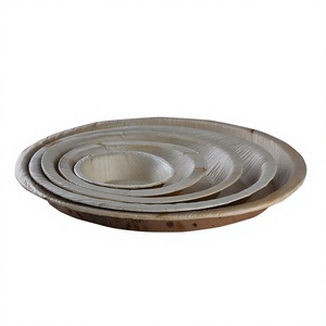 Premium Quality Disposable Biodegradable Eco-Friendly Areca Palm Leaf 25cm Deep Serving Plate Microwave Safe Food Grade Stocked - Product Image 3