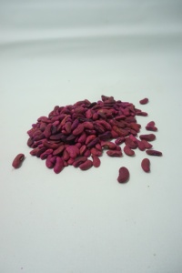 โบตานี ซานติกา: ผู้จัดจำหน่ายเมล็ดพันธุ์ถั่วยาวพันธุ์ผลผลิตสูง ทนทานต่อไวรัส - Product Image 2