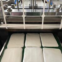 HAOYUAN Machine à emballer N95 à grande vitesse entièrement automatique HY-220 pour la fabrication de coussinets oculaires Remplissage d'emballage de film plastique pour produits chimiques alimentaires