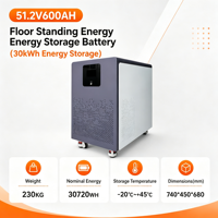Batterie LiFePO4 51,2 V pour stockage d'énergie solaire hors réseau, stockage d'énergie commercial, alimentation photovoltaïque 51,2 V
