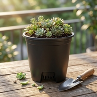 Petits pots de fleurs noirs pour pépinière, fabriqués en Chine, en PP, avec trous de drainage, durables, légers, biodégradables, vente en gros, style Japandi