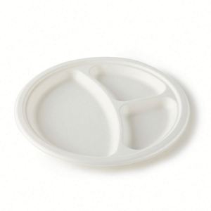 Platos de Papel Biodegradables Personalizados de Bagazo de Caña de Azúcar Blancos, Contenedor Desechable para Alimentos para el Regreso a Clases (Tamaños 9''/10''/12'') - Product Image 4