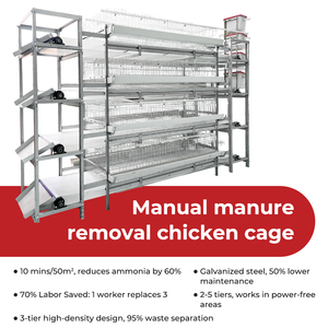 Jaulas <span class=keywords><strong>de</strong></span> pollo galvanizadas Personalización compatible Alta utilización Trabajo ahorrado Fácil instalación Precios usados Jaulas Venta en <span class=keywords><strong>Guinea</strong></span> - Product Image 2