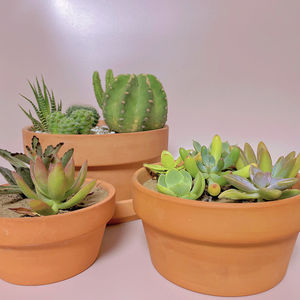 Commercio all'ingrosso ceramica Terracotta vasi di piante con foro di drenaggio succulenta <span class=keywords><strong>e</strong></span> <span class=keywords><strong>Cactus</strong></span> ceramica per il giardino di casa - Product Image 2