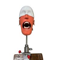Modelo de Anatomía Humana, modelo estándar, simulador fantasma Dental extraíble e instalable, modelo Dental, molde de cabeza Dental para uso médico