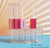 Tube de brillant à lèvres carré à double extrémité AS plastique PETG CASE emballage de maquillage Logo personnalisé Labial Luxurious Lipgloss Lipstick Tube