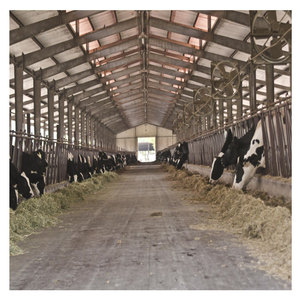 Establo Prefabricado para Vacas Lecheras a Bajo <span class=keywords><strong>Precio</strong></span>, Construcción de Granjas para Ganado - Product Image 1