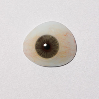 Eyeshare Naturel Prothèse Yeux Brun Couleur Lentille De Contact Affichage Modèle Lunettes Produit De Soin