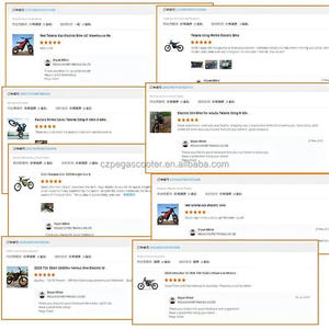 2025 V1 + Nâng Cấp Ventus Một 28KW 390nm Điện Enduro Motocross Khác Xe Máy Điện Moto Cho Người Lớn - Product Image 6