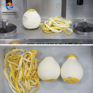 FXP-YZ-II <strong>Automatic</strong> Grapefruit Coconut Peeling <strong>Machine</strong> Dry Brown Coconut Kelapa <strong>Peeler</strong> <strong>Machine</strong> - Product Image 5