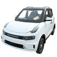Mini véhicule électrique 3000W, véhicule électrique à quatre roues, voitures électriques