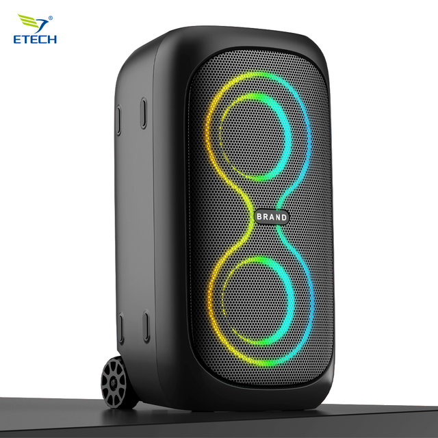 Hot Sale Party Speaker, 10W Powerful Bass, Dynamic RGB Light Show, 10H Playtime, Portable Karaoke Speaker with Mic