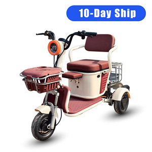 Tricycle électrique Holladay 600W à carrosserie ouverte, scooter de mobilité 2 <span class=keywords><strong>places</strong></span>, vélo électrique à 3 roues pour adultes et personnes âgées, utilisation en extérieur - Product Image 1