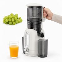 Extracteur de jus à froid silencieux 200W 600ML avec séparation jus et pulpe, directement de l'usine (OEM/ODM) pour les revendeurs d'appareils de cuisine