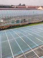 Nouvelle conception PVC hydroponique gouttière système de ravins petit matériau PE pour la culture de fraises dans une serre commerciale