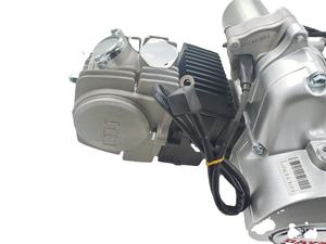 Tongdayang — moteur trois roues Cargo pour moto, 125cc, assemblage de Tricycle, argent Sea, 4 temps <span class=keywords><strong>125</strong></span> 1 <span class=keywords><strong>cylindre</strong></span> - Product Image 4