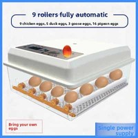 Incubateur d'œufs numérique intelligent VSEC pour usage domestique, avec plateau réglable, double alimentation, 5 kg, garantie de 2 ans
