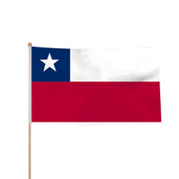 Drapeau du Chili en polyester imprimé numériquement, 3x5 pieds, avec œillets en laiton, pour événements, vacances, promotion nationale
