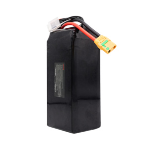 Batterie Lipo 22,2V 25C 6S Décharge à basse température 16000mAh Batterie de drone FPV pour <span class=keywords><strong>Traxxas</strong></span> 8S 4WD RTR Monster Truck Drone FPV - Product Image 3