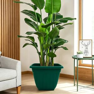 Pots à fleurs carrés simples en plastique durables <span class=keywords><strong>pour</strong></span> <span class=keywords><strong>plantes</strong></span> <span class=keywords><strong>vertes</strong></span> en pot, anti-chute, <span class=keywords><strong>pour</strong></span> salon et <span class=keywords><strong>balcon</strong></span> - Product Image 5