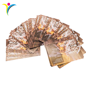 Tarjetas <span class=keywords><strong>de</strong></span> Agradecimiento Comerciales Personalizadas <span class=keywords><strong>de</strong></span> 4x6 Pulgadas a Todo Color con Papel Offset/Recubierto/Artístico - Product Image 5