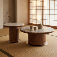 Ensemble de tables basses modernes avec structure en acier inoxydable et plateau en marbre, meubles de salon durables et multifonctionnels