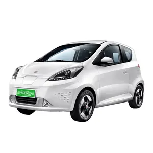 High Speed Cheap price Electric Car small car Electric Vehicles made in china Mini Car