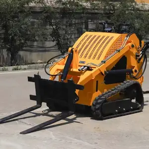 Ruigong qualità garantita unica mini caricatore ruota ri per la vendita e mini skid steer loader e mini traktor e movimento terra