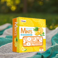Ananas Flavour Single Pack Zee Zout Suiker Gratis Pepermuntjes Snoep