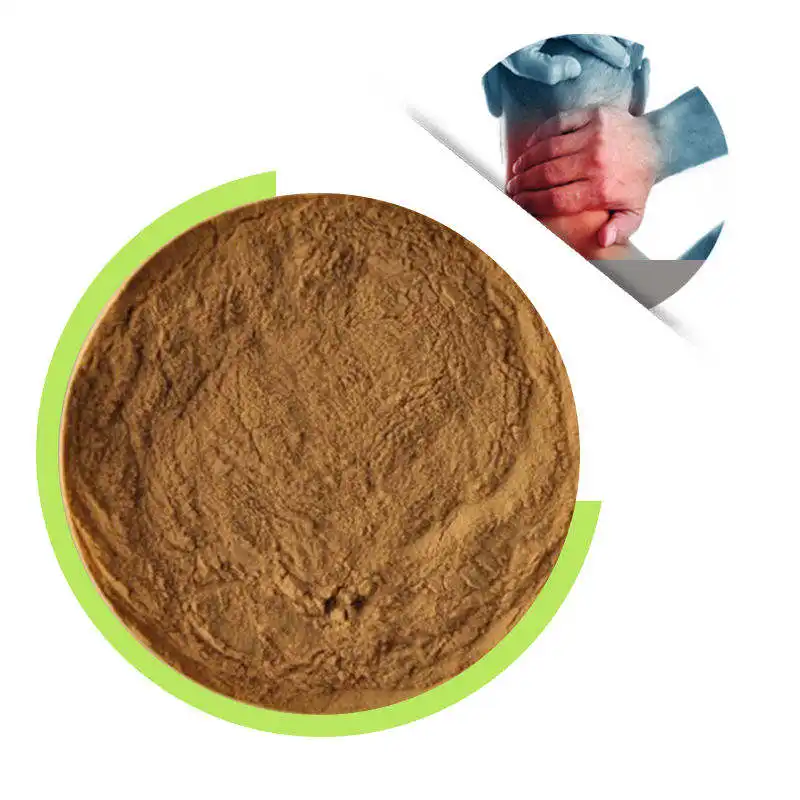 Extracto orgánico de hoja de Gymnema Sylvestre 20:1 en polvo, extracción de etanol/agua, grado alimenticio, HPLC, extracto de hierbas de tambor probado