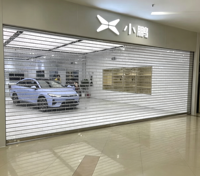 Porte à enroulement automatique en polycarbonate transparent sur mesure, style rideau, pour garages extérieurs