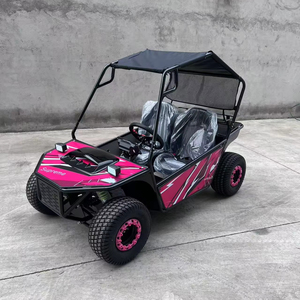 Karts de course électriques à deux places 1000W/48V Buggy Dune alimenté pour Parent-Enfant Off-Road Drift Adventure Fun Outdoor Activity - Product Image 5