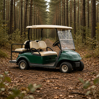 Voiturette de golf électrique tout-terrain à 4 places, homologuée CE, avec batterie au lithium, pour usage en resort, villa ou parc