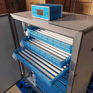 Incubadora de huevos al por mayor para precios DE LUCHA - Product Image 6